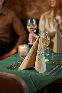 Salvete BioDunisoft nalik tkanini 40x40/ 60 Natural Charm