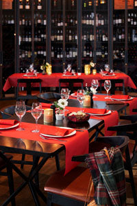 Dunicel® runer nalik platnu 3 u 1 0,4X4,8m Crvena