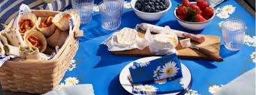 Dunicel runer nalik platnu 0,4x4,8 m Daisy Blue