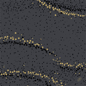 Salvete BioDunisoft  nalik tkanini 40x40/60 Golden Stardust Black