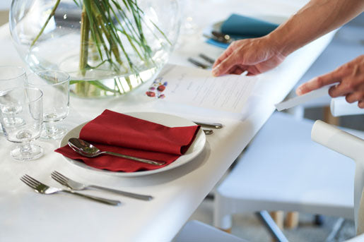 Salvete BioDunisoft nalik platnu  40x40/60 Bordo