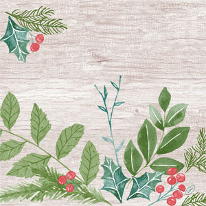 Salvete Duni  Classic  40x40/50 Winter Greenery