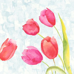 Salvete Duni  Classic  40x40/50 Painted Tulips