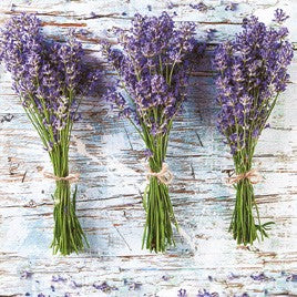 Salvete Daisy 33/20 Three Bunches of Lavender