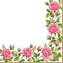 Salvete Daisy 33/20 Flower Frame with Garden Roses