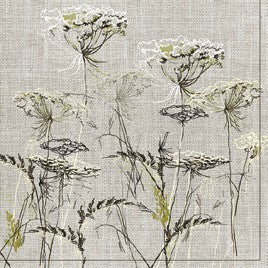 Salvete Daisy 33/20 Achillea Sketch on a Linen Background