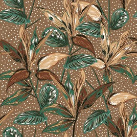 Salvete Daisy 33/20 Botanical Plants on Brown Background
