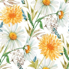 Salvete Daisy 33/20 Marigolds and Wildflowers