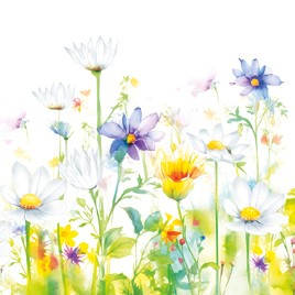 Salvete Daisy 33/20 Beautifull Flower Meadow