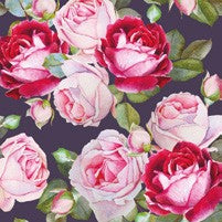 Salvete Maki  33/20 Rosa Black
